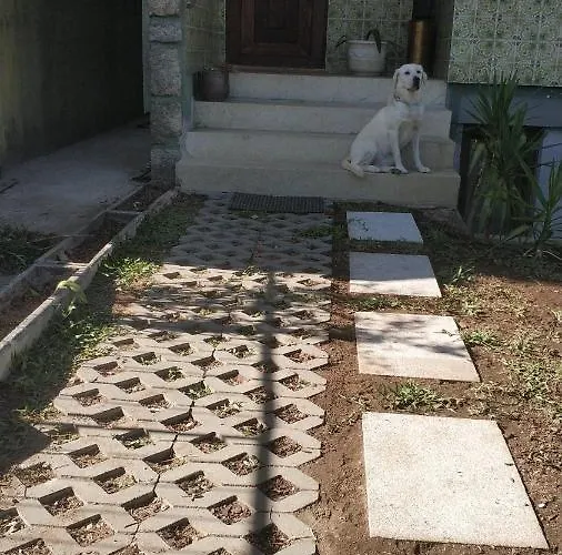 Casa Da Rosa * Arcozelo (Braga)